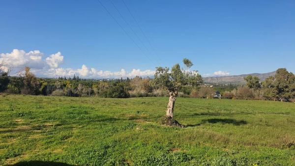 Terreno en Pinos de Alhaurín