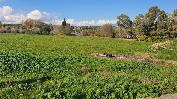 Terreno en Pinos de Alhaurín