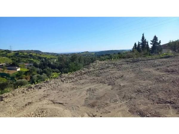 Terreno en Diseminado Pedregales