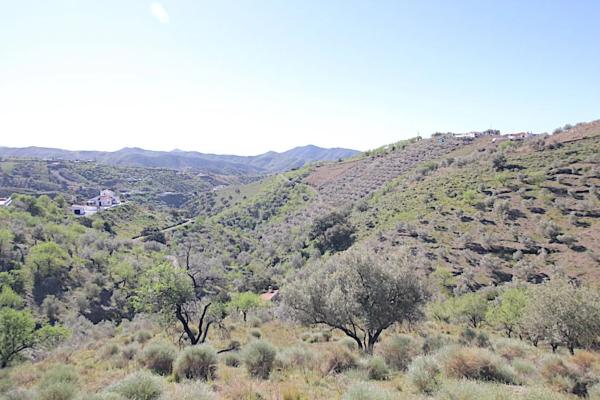 Terreno en camino de Rubite a Sedella, 5
