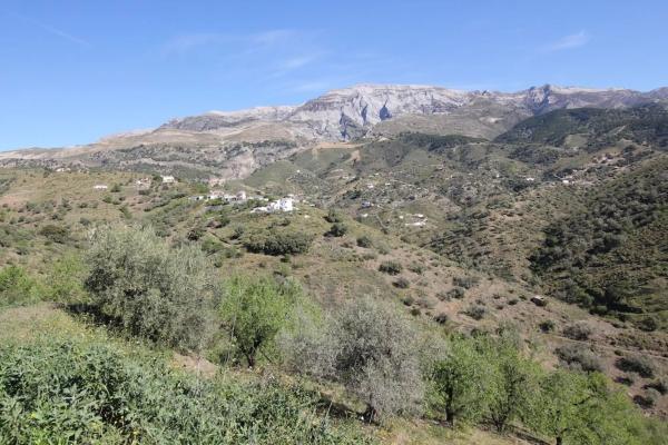 Terreno en camino de Rubite a Sedella, 5