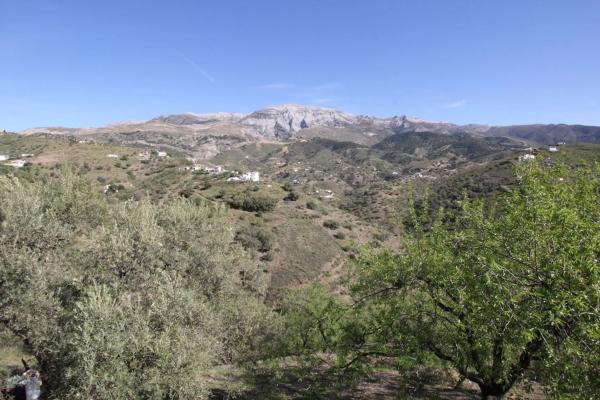 Terreno en camino de Rubite a Sedella, 5