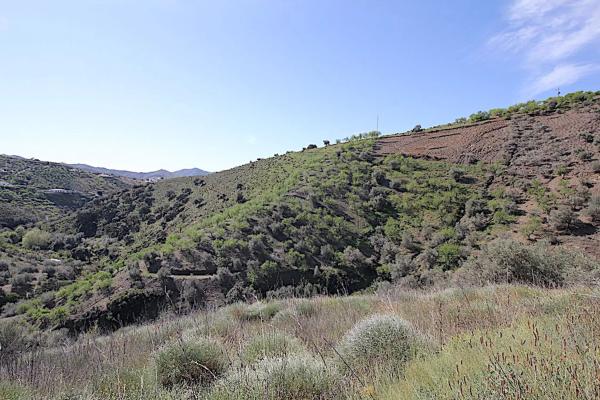 Terreno en camino de Rubite a Sedella, 5