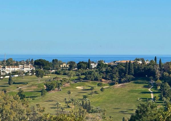 Terreno en calle Ficus