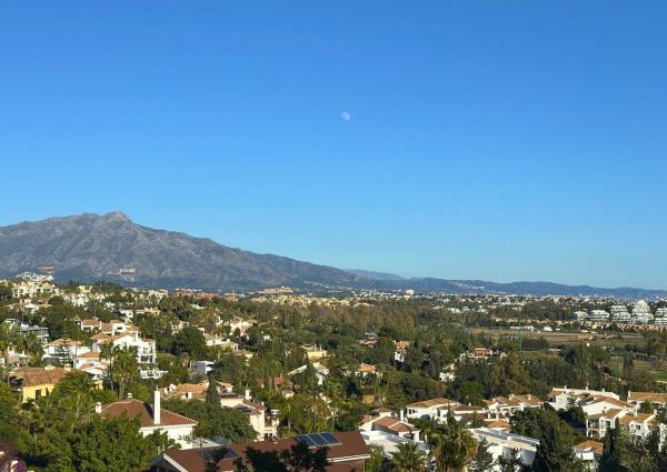 Terreno en calle Ficus