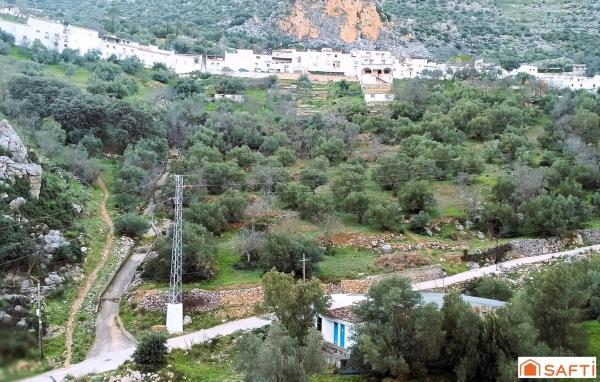 Terreno en Polígono 4 Parcela 116 La Asomadilla