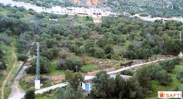 Terreno en Polígono 4 Parcela 116 La Asomadilla