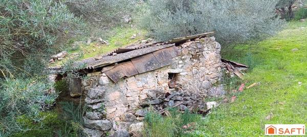 Terreno en Polígono 4 Parcela 116 La Asomadilla