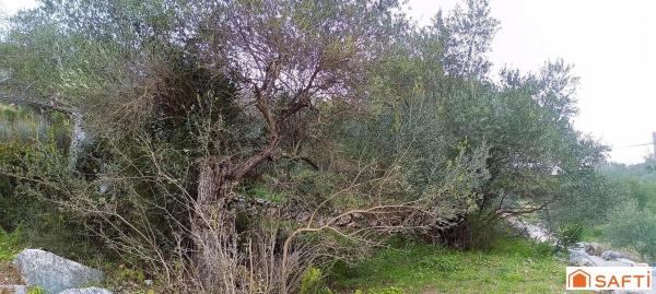 Terreno en Polígono 4 Parcela 116 La Asomadilla