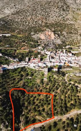 Terreno en Polígono 4 Parcela 116 La Asomadilla