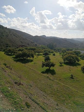 Terreno en casa de las flores s/n