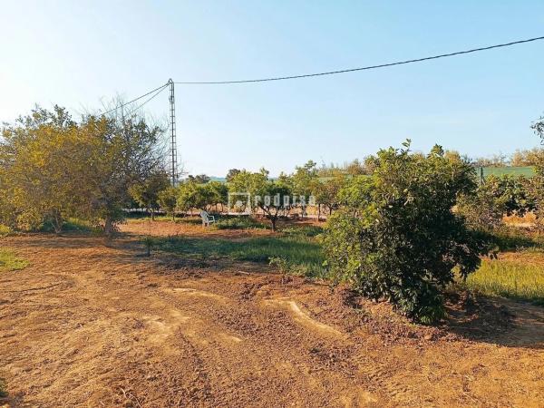 Terreno en Arrabal Antigua Fábrica Harina