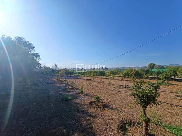 Terreno en Arrabal Antigua Fábrica Harina