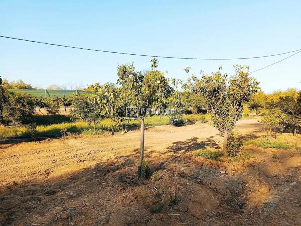 Terreno en Arrabal Antigua Fábrica Harina