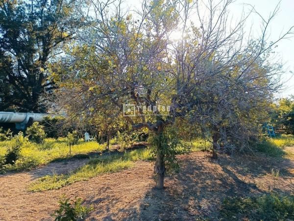 Terreno en Arrabal Antigua Fábrica Harina