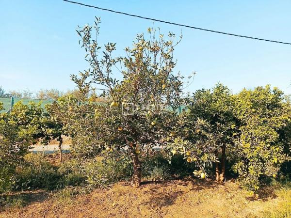 Terreno en Arrabal Antigua Fábrica Harina