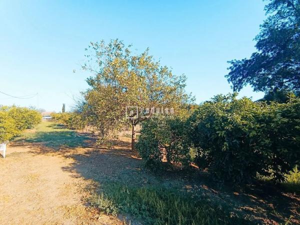 Terreno en Arrabal Antigua Fábrica Harina