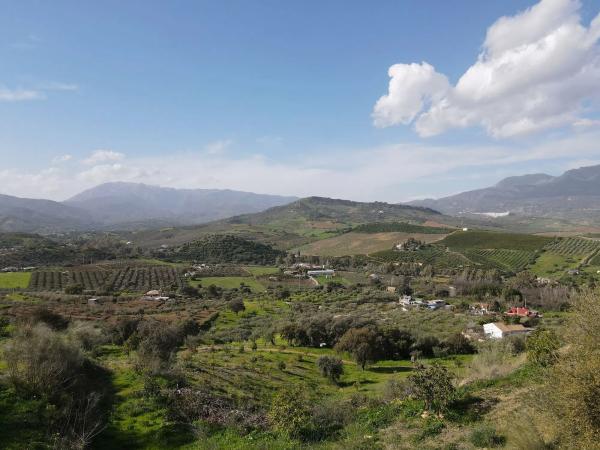 Terreno en calle llano de Comisario, 446