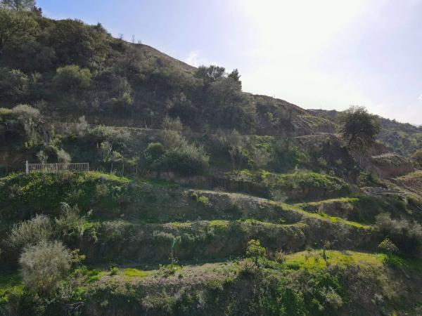 Terreno en calle llano de Comisario, 446