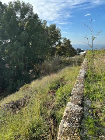 Terreno en carretera de Chilches