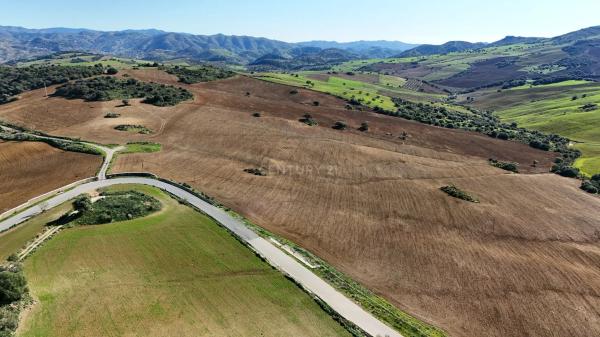 Terreno en Villanueva de la Concepcion