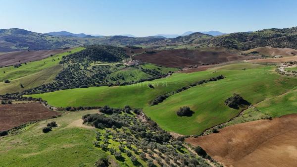 Terreno en Villanueva de la Concepcion