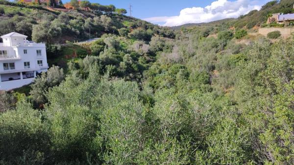 Terreno en Urbanización el Rosario, 479