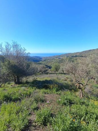 Terreno en carretera Almachar, km 3