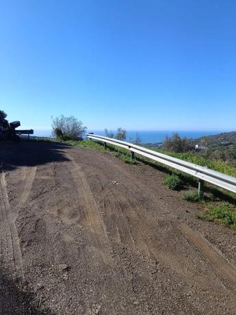 Terreno en carretera Almachar, km 3