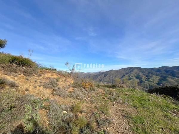 Terreno en Diseminado R33