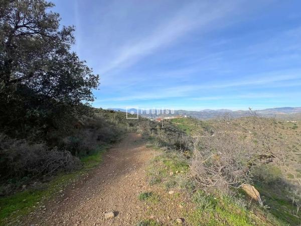 Terreno en Diseminado R33