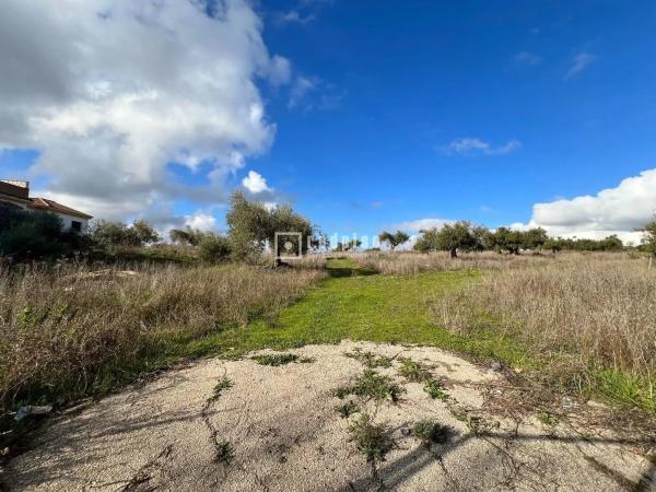 Terreno en calle Miguel de Cervantes