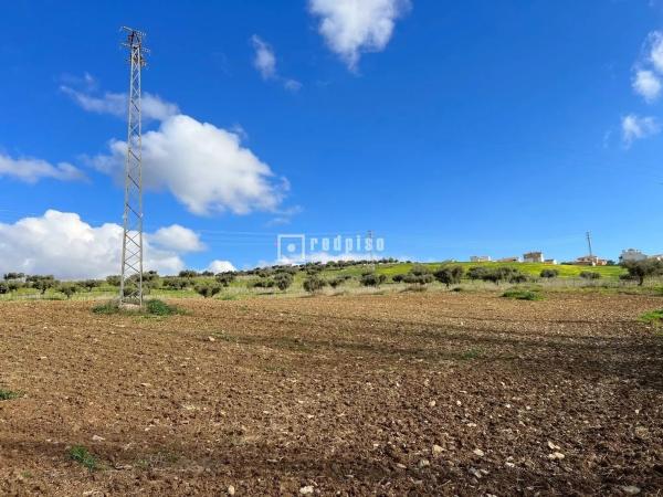 Terreno en calle Miguel de Cervantes