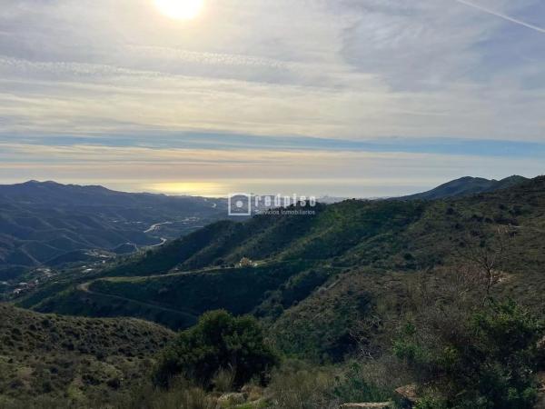 Terreno en Diseminado R33