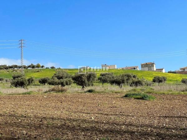 Terreno en calle Miguel de Cervantes