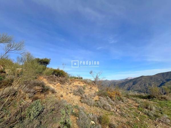 Terreno en Diseminado R33