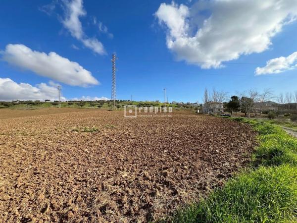 Terreno en calle Miguel de Cervantes