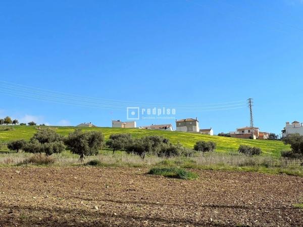Terreno en calle Miguel de Cervantes