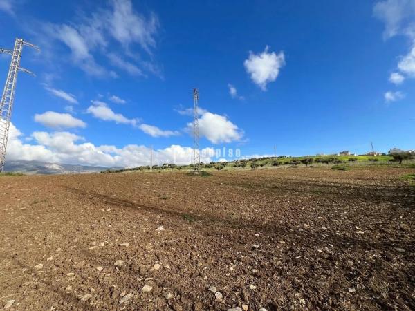 Terreno en calle Miguel de Cervantes