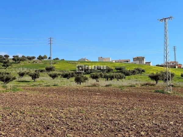 Terreno en calle Miguel de Cervantes