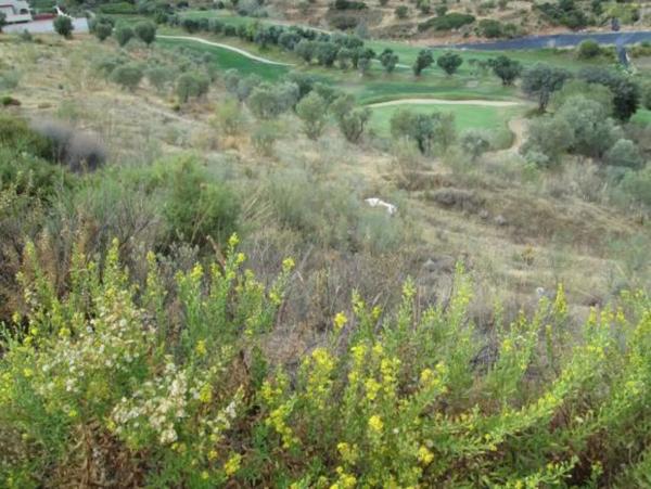 Terreno en Arrabal Urb Antequera Golf