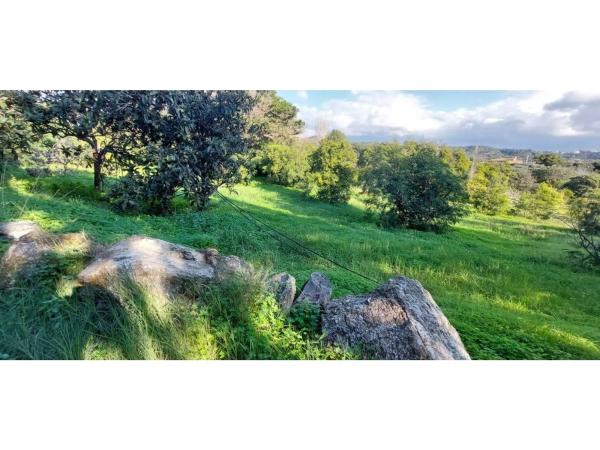 Terreno en camino Alberdina