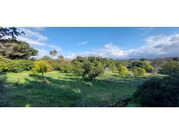 Terreno en camino Alberdina