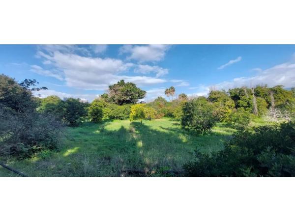 Terreno en camino Alberdina