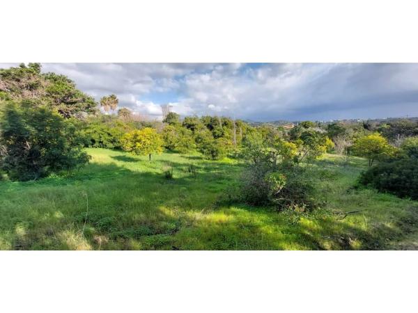 Terreno en camino Alberdina