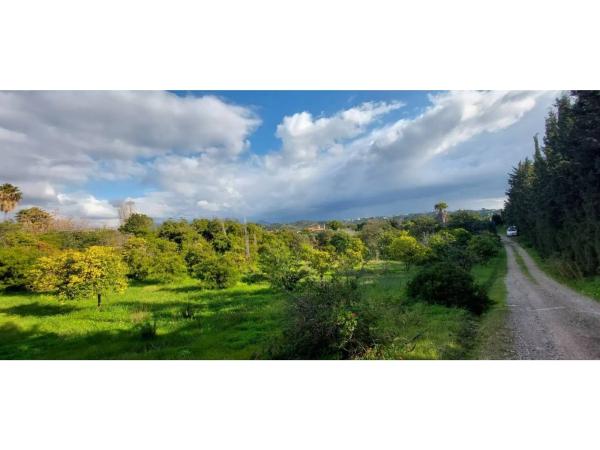 Terreno en camino Alberdina