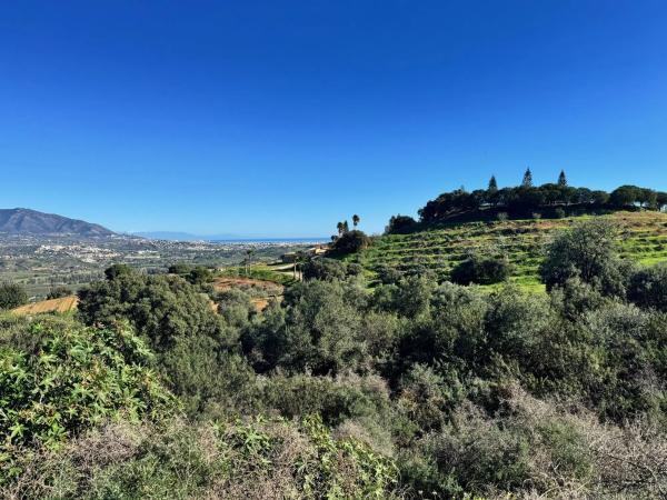 Terreno en calle Ibérica, 7
