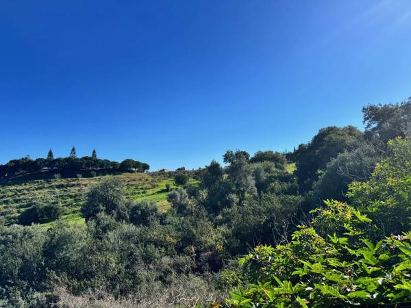 Terreno en calle Ibérica, 7