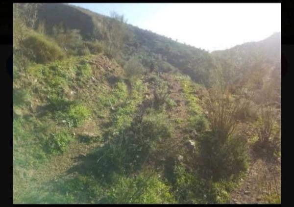 Terreno en Canillas de Aceituno