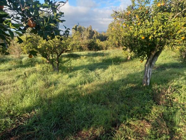 Terreno en calle Polígono 8, 8